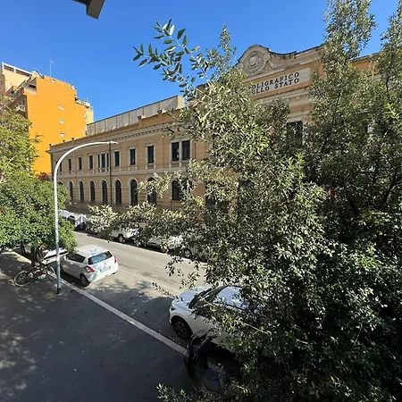 Laura's House In Alberone Апартаменты